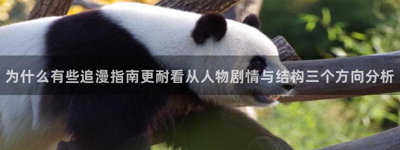 新新漫画官网入口